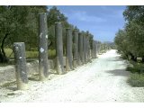 Excavated street of Greek Samaria